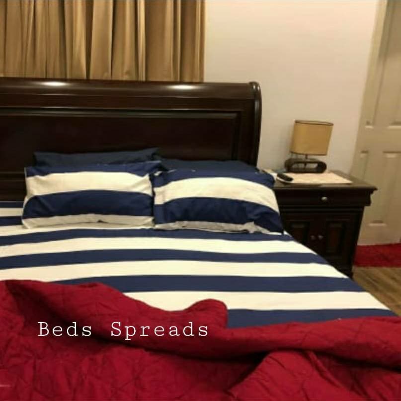 Blue And White Striped Print With Solid Red Comforter