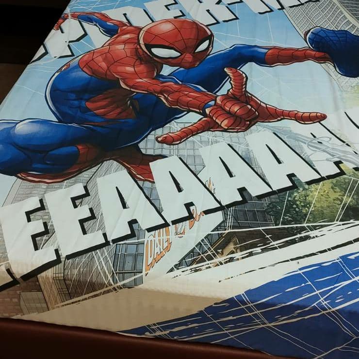 Spiderman Single Bedsheet NBJ