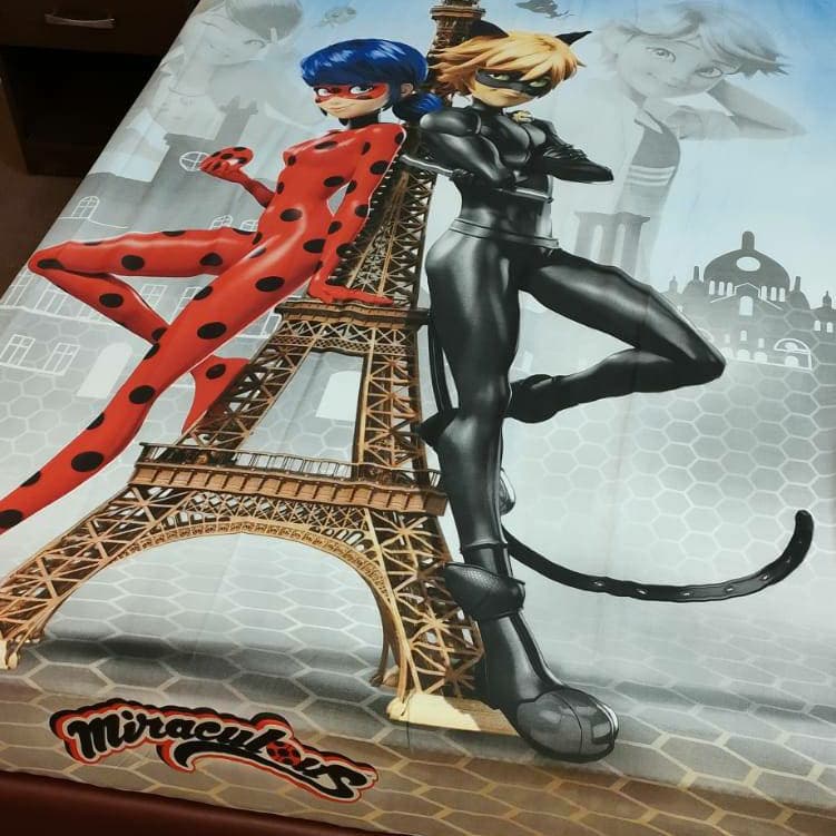 Miraculous Ladybug Superhero Bedsheet NBJ