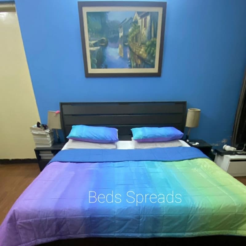 Pottery Barn Rainbow print Purple duvet cover set