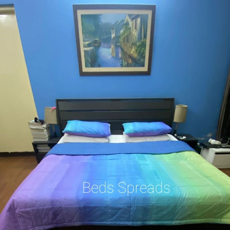 Pottery Barn Rainbow Purple Bedsheet