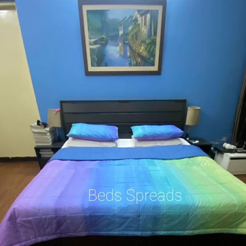 Pottery Barn Rainbow Purple Single